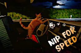 Nip For Speed cover image