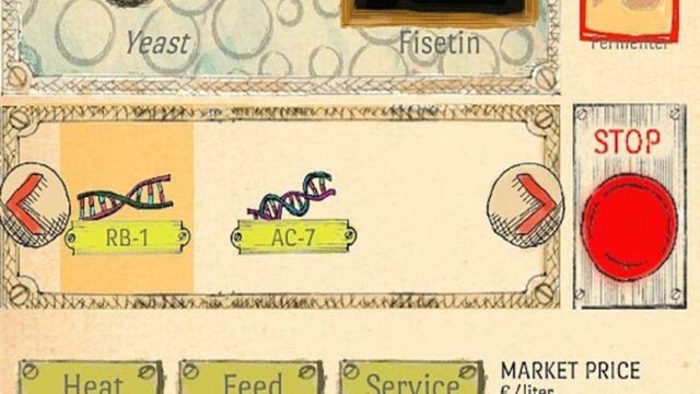 BerryMaker: DNA Soda factory Screenshot