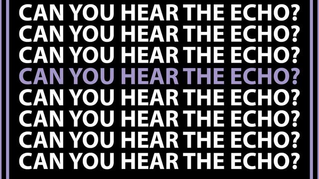 Can You Hear the Echo? Screenshot