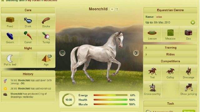 Howrse Screenshot