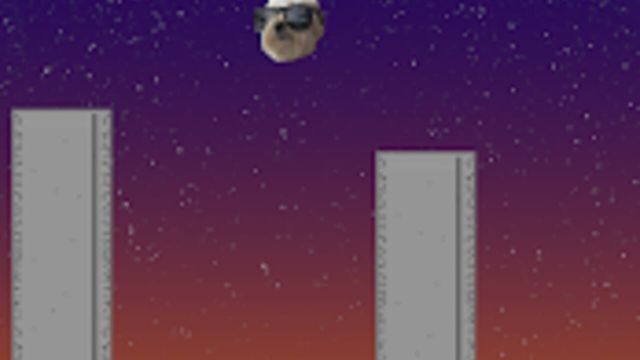 Jumpy Dog Screenshot