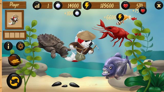 Koi Dojo Screenshot