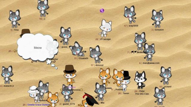 Meow Playground Screenshot