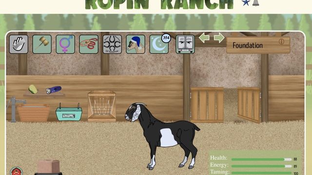 Ropin' Ranch Screenshot