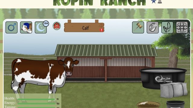 Ropin' Ranch Screenshot